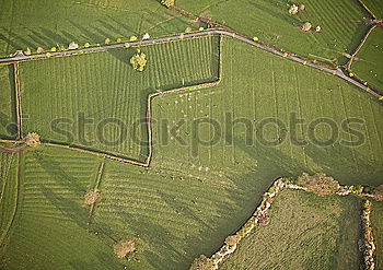 Similar – Aerial top view photo from flying drone