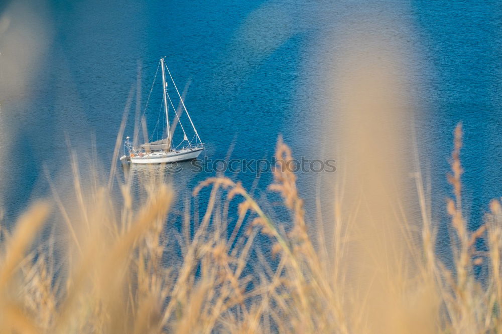 Similar – Foto Bild festmachen Küste Nordsee