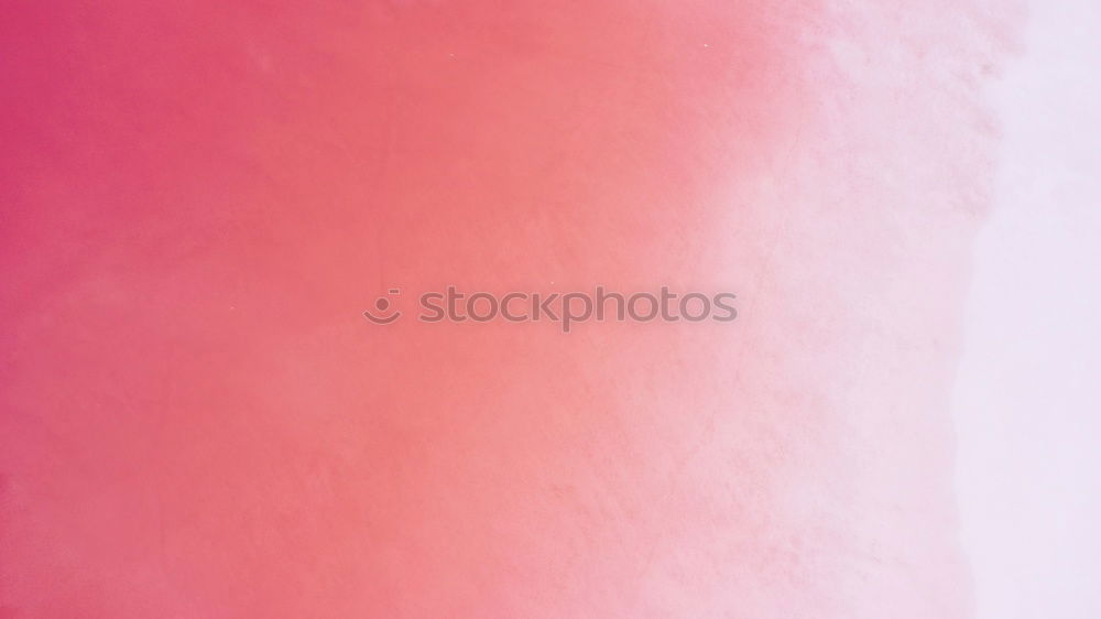 Similar – Image, Stock Photo magenta Calm Meditation