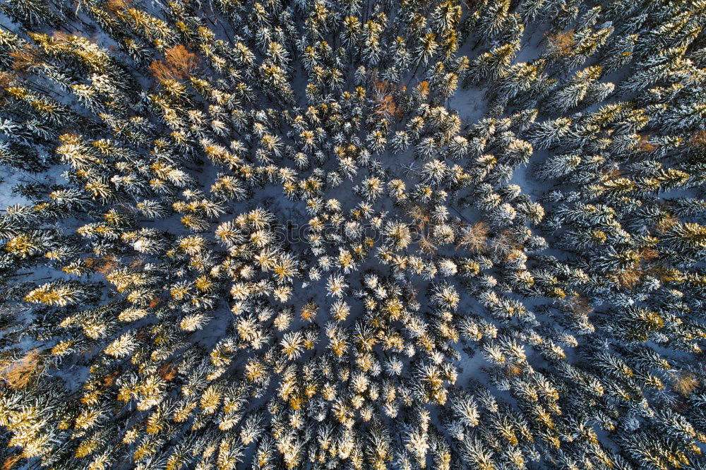 Similar – Über den Wolken Landschaft