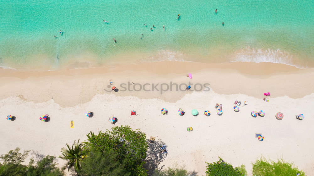 Similar – Resting on the beach of Nazaré