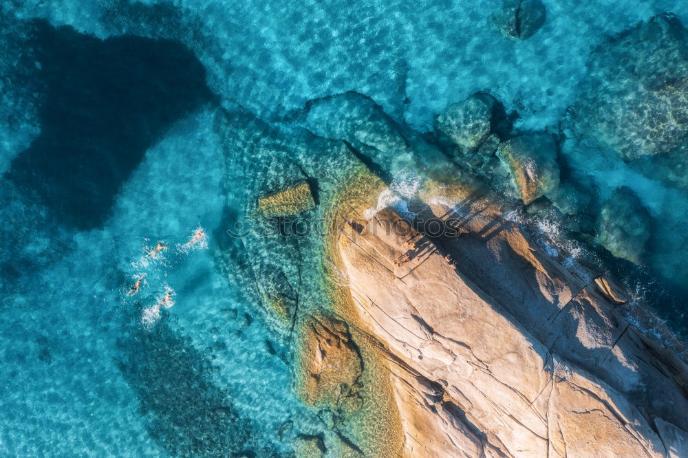 Similar – Image, Stock Photo Fly to Borneo Airplane