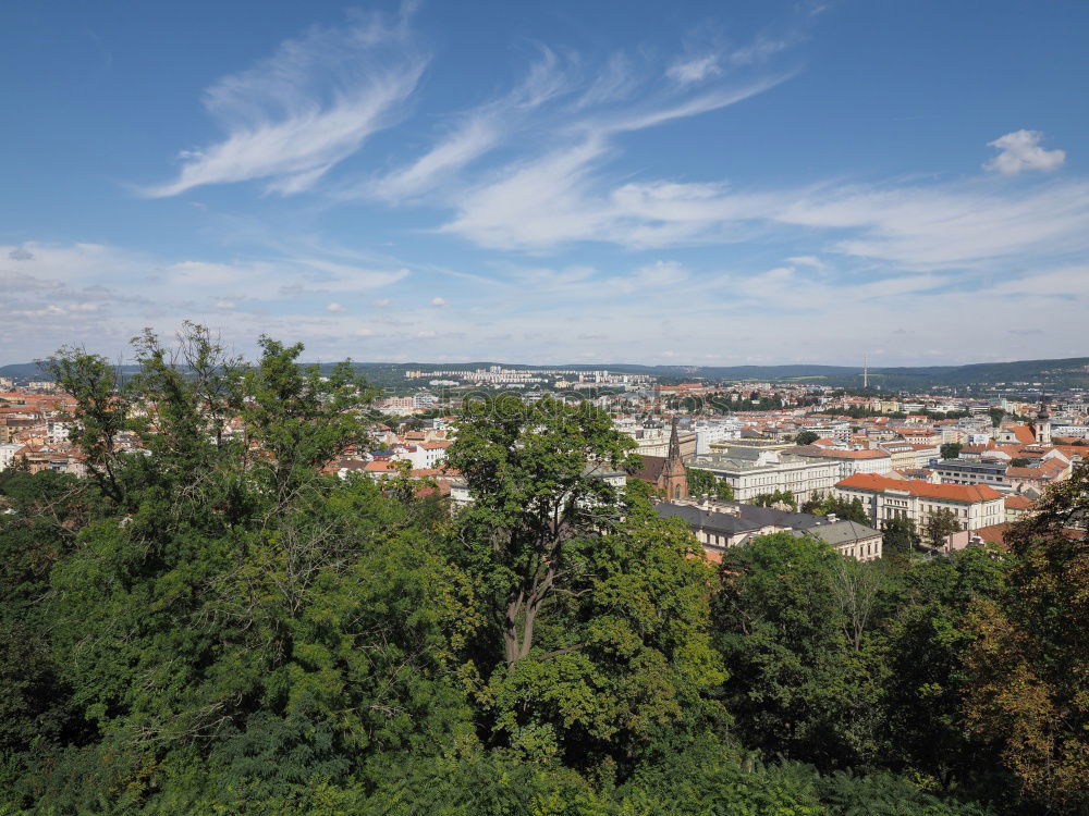 Similar – NATURE IN PRAGUE Prague