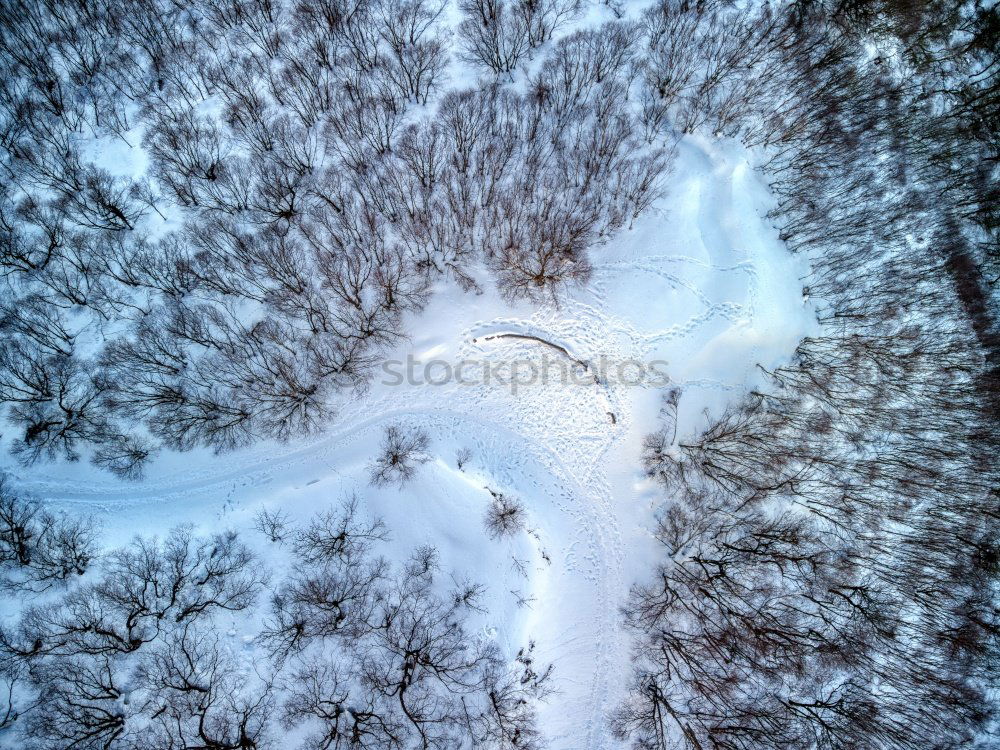 Similar – Image, Stock Photo Lake Silser Snow Forest