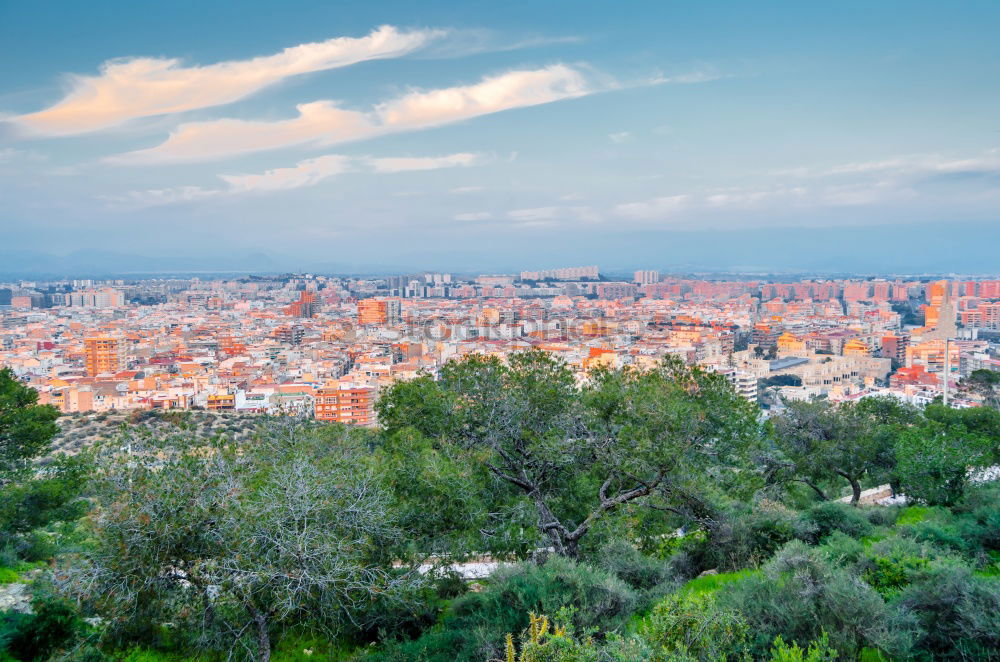 Similar – Image, Stock Photo Barcelona high-rise