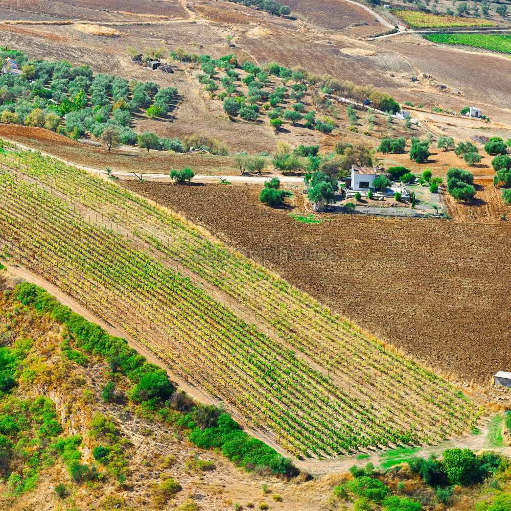 Similar – Image, Stock Photo #A# little agriculture