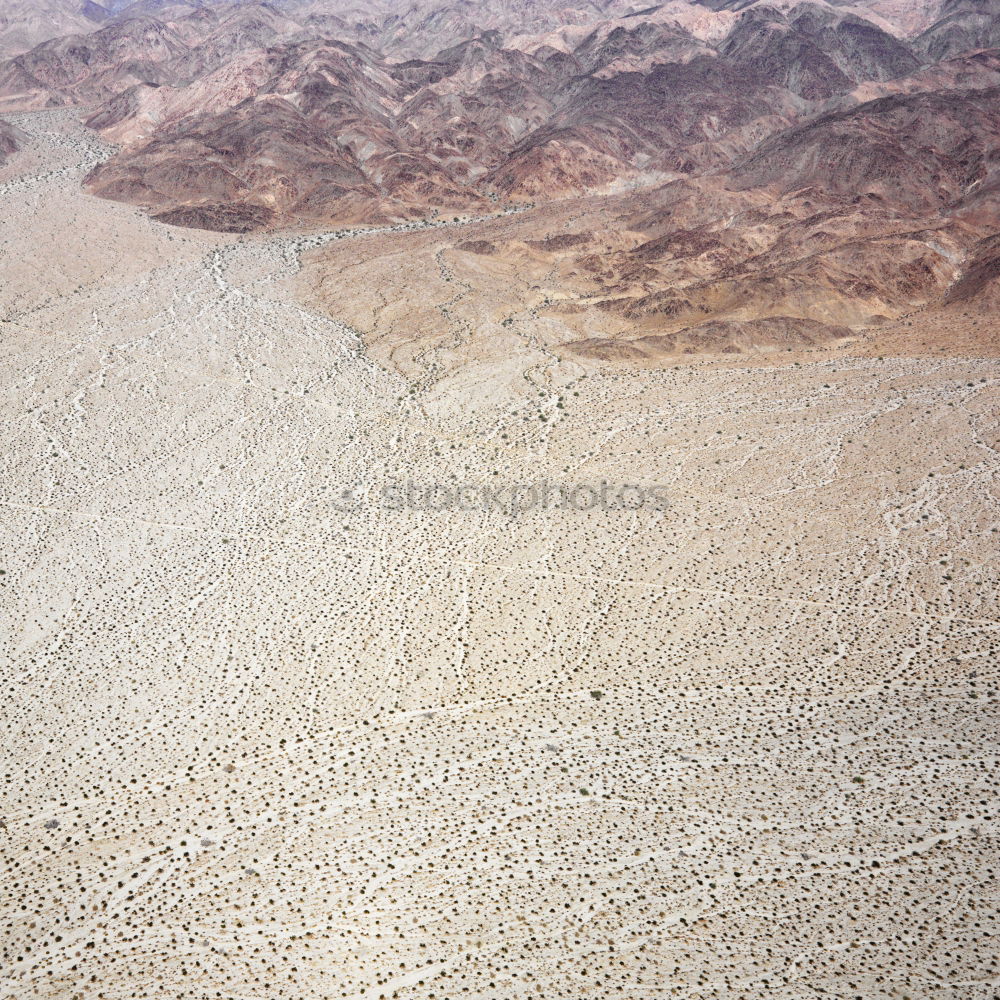 Similar – Tracks on the beach in Portugal II