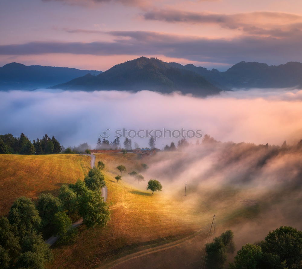 Similar – Image, Stock Photo Striped fog Nature