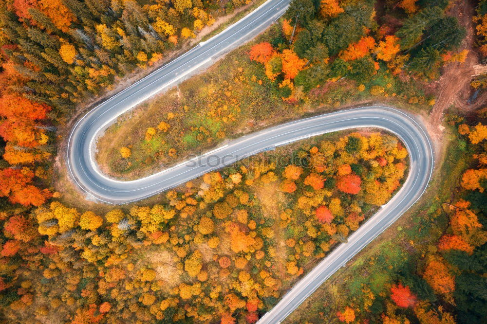 Similar – Image, Stock Photo Indian Summer @ Acadia NP