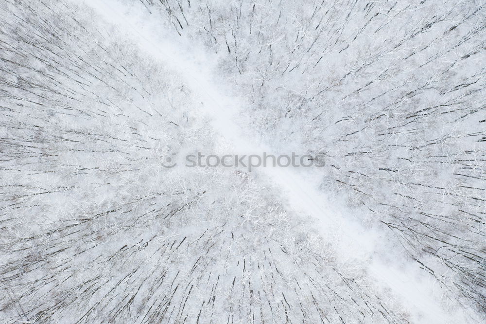 Similar – ice flowers Cold Window