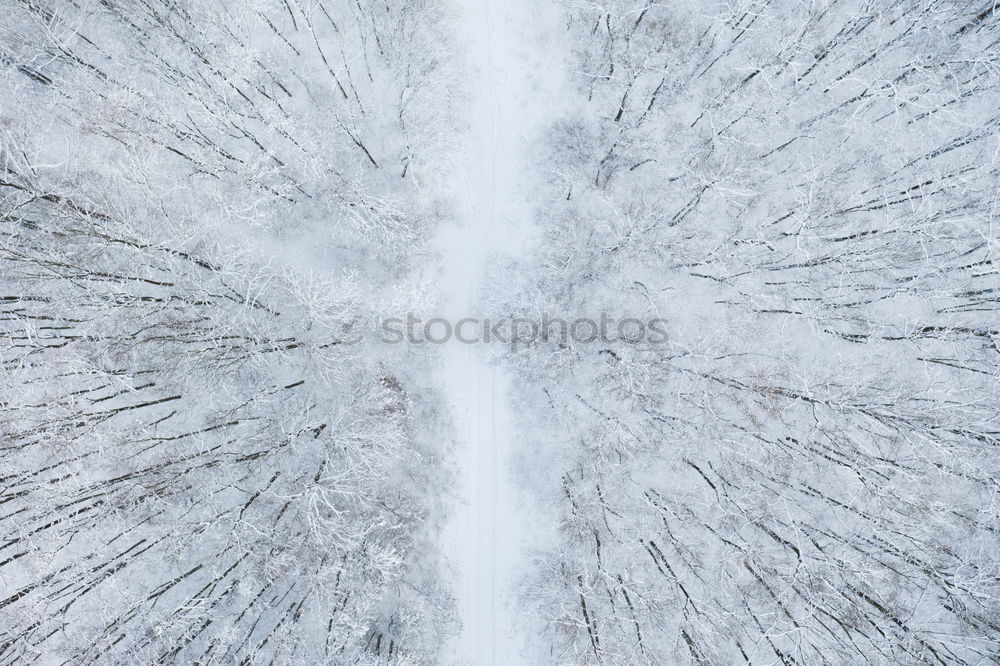 Similar – ice flowers Cold Window