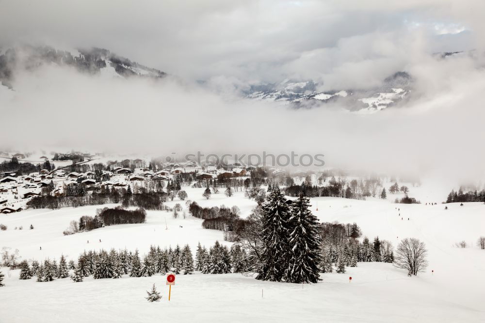 Similar – Image, Stock Photo drobn aufm mountain White