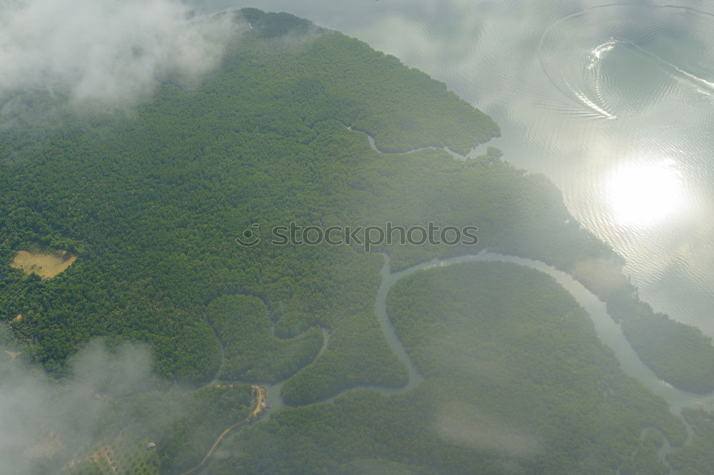 Similar – (Negative) transformation | rainforest becomes palm oil