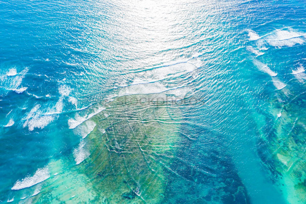 Similar – Dolphins in the reef Water