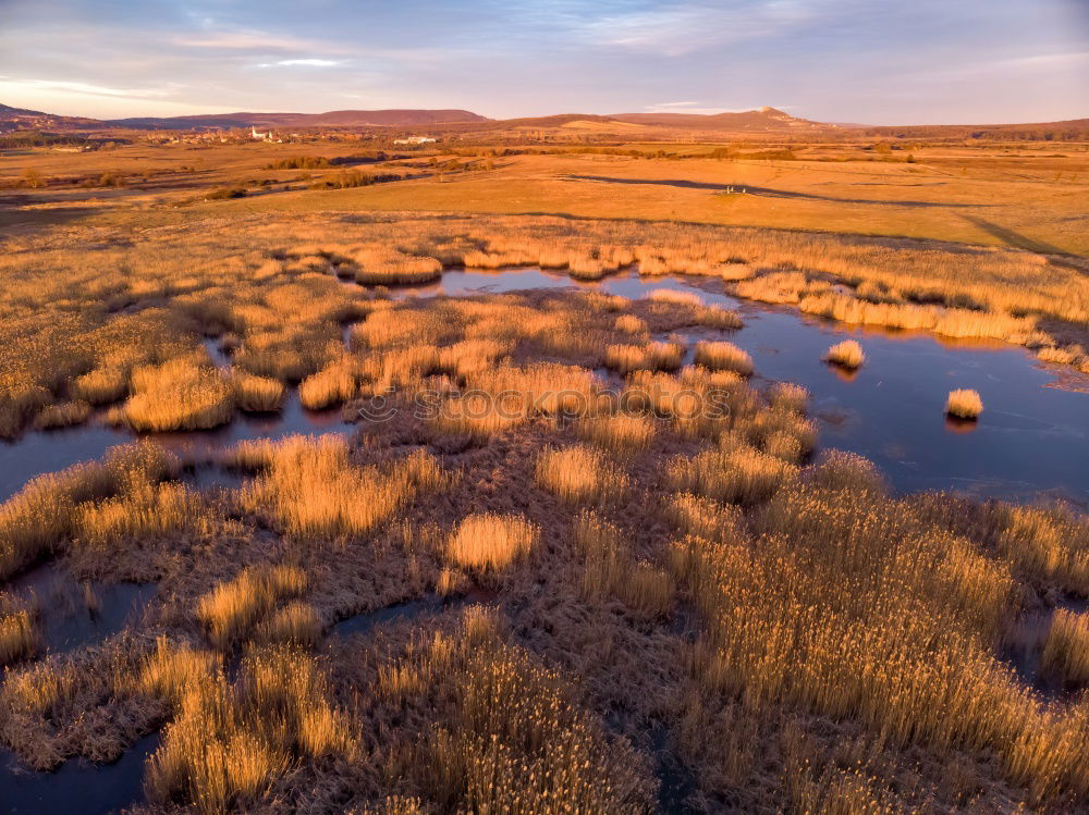 Similar – African steppe