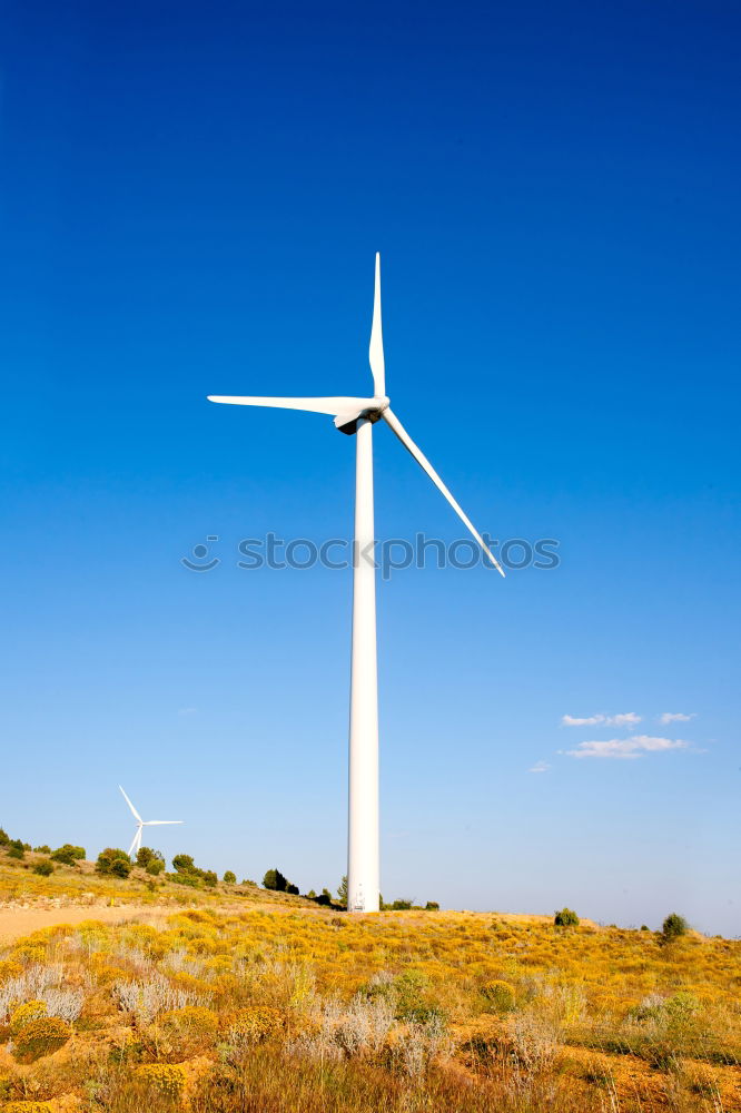 Similar – .:: Windmill II ::. Field