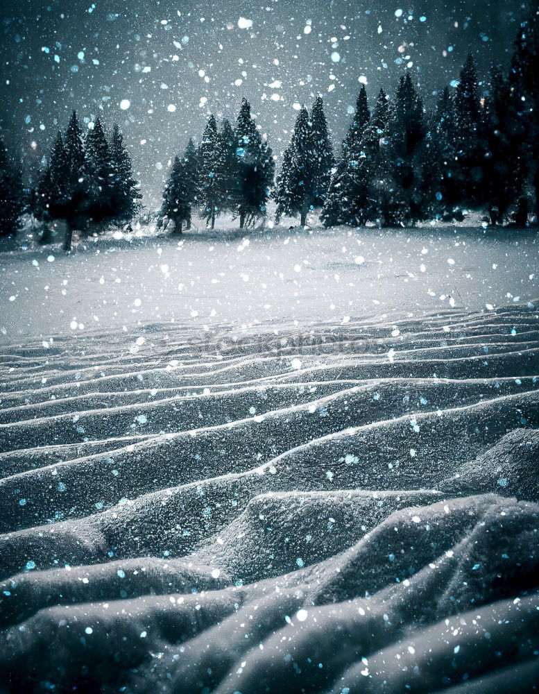 Similar – Image, Stock Photo Christmas card 24 Sunbeam
