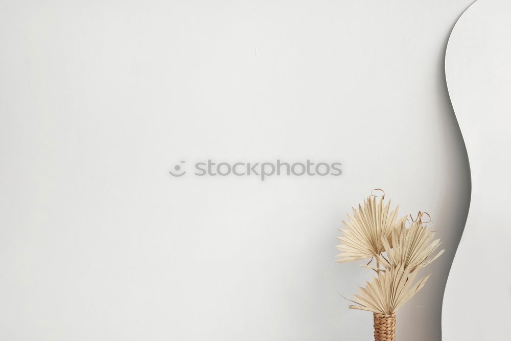 Similar – Image, Stock Photo filthy day Street