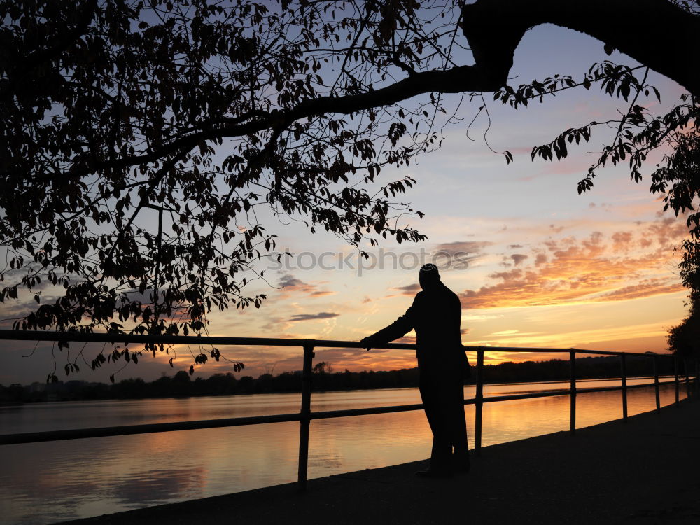 Image, Stock Photo promenade Back-light