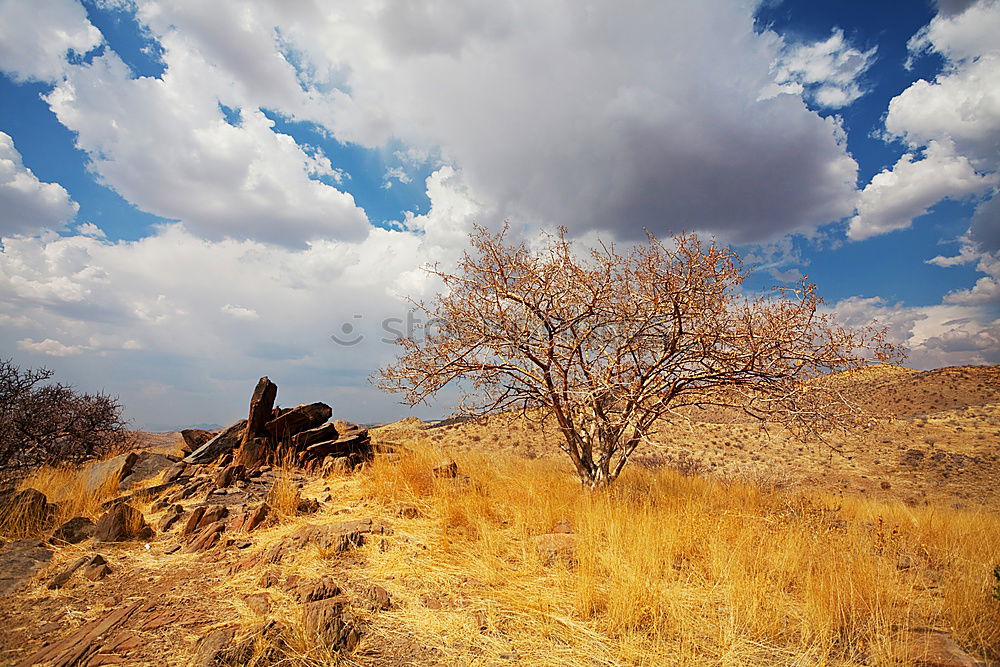 Similar – ghost town Storm clouds