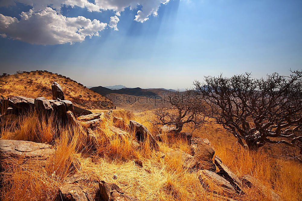 Similar – Image, Stock Photo the good the bad and the ugly