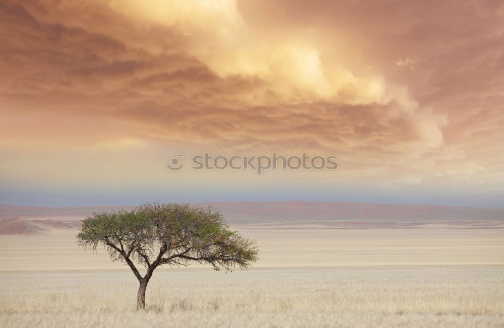 Similar – ghost town Storm clouds