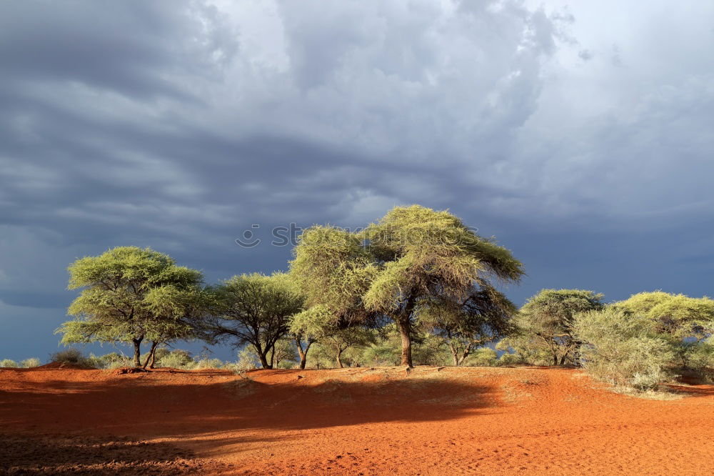 outback Outback Australia