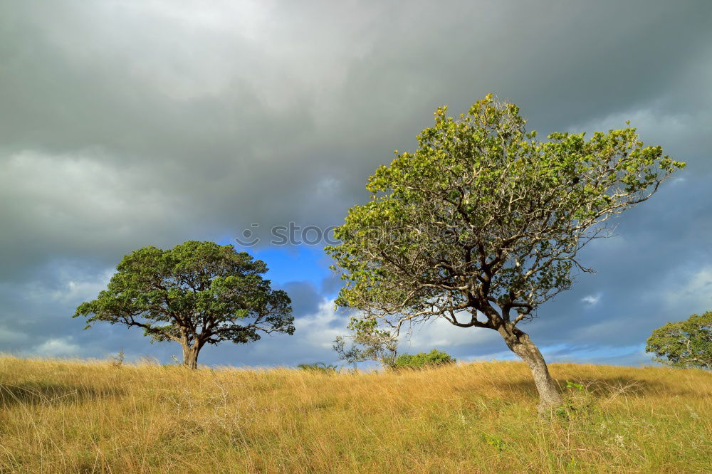 Similar – ghost town Storm clouds