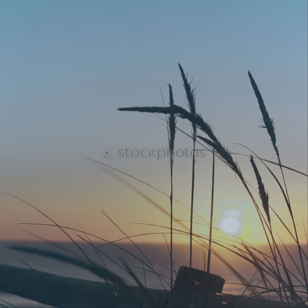 Similar – Image, Stock Photo Sunrise on the ocean