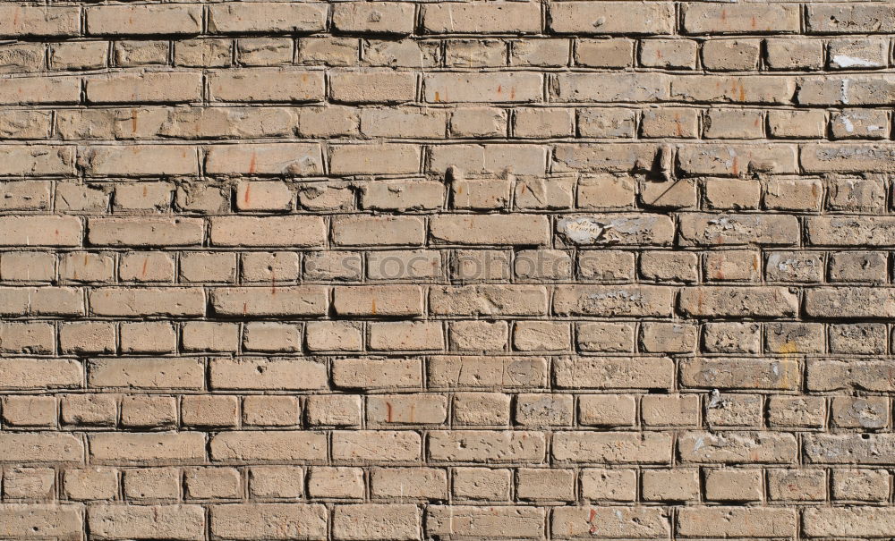 Similar – Wall, Window Sky Tourism