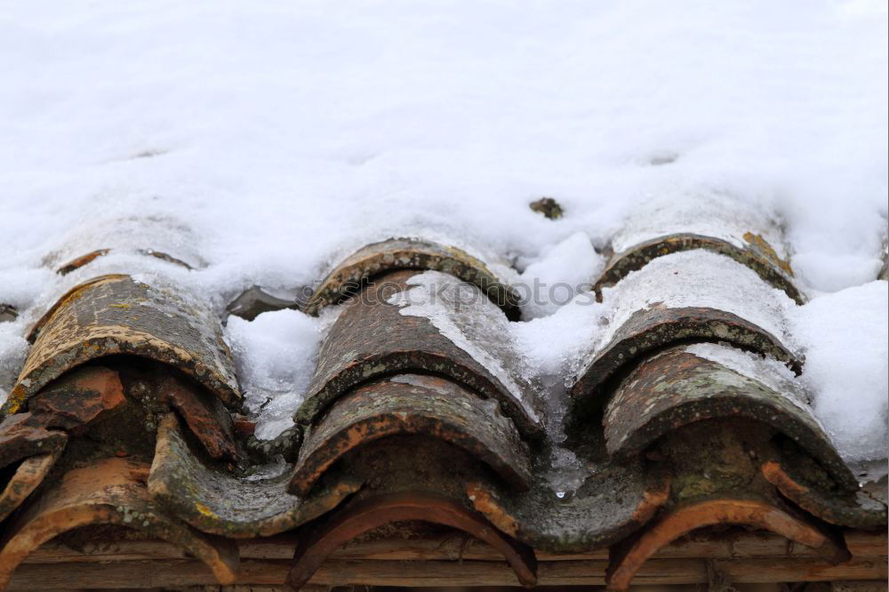 Similar – Dachfenster Fenster Winter