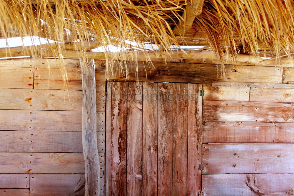 Similar – Foto Bild Viel Holz vor der Hütte