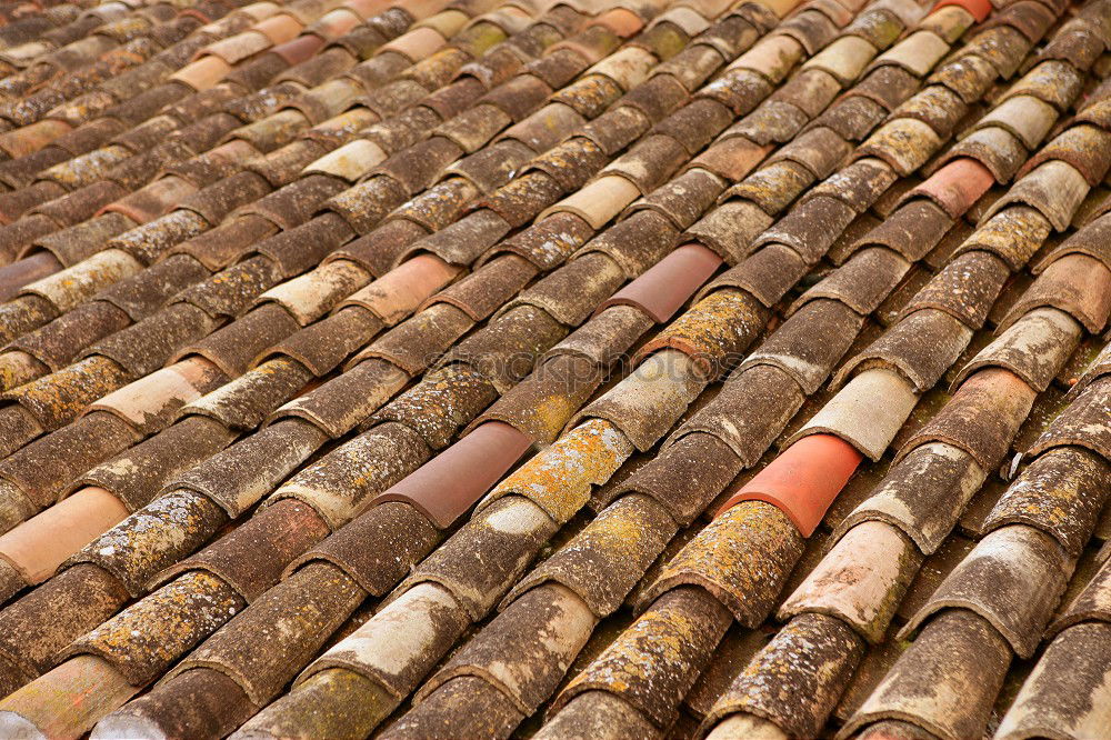 Similar – Close-up roof tile texture