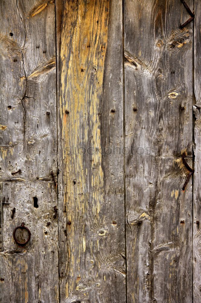 Similar – Image, Stock Photo mysterious Wood