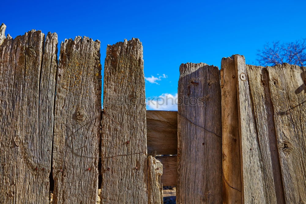 Similar – Image, Stock Photo pile of logs Agriculture