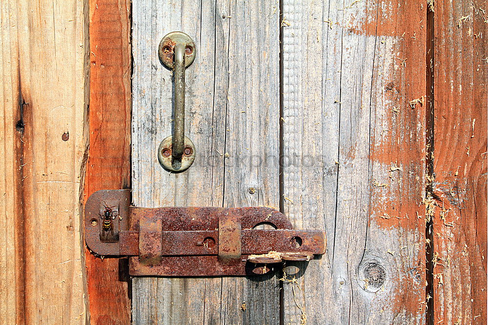 Similar – Wall, peeling off the paint in an old house | lost place