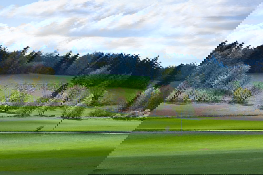 Similar – Foto Bild Holzstapel mit Waldstück und Wiese im Schwarzwald