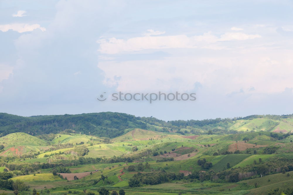 Similar – Weinberg Natur