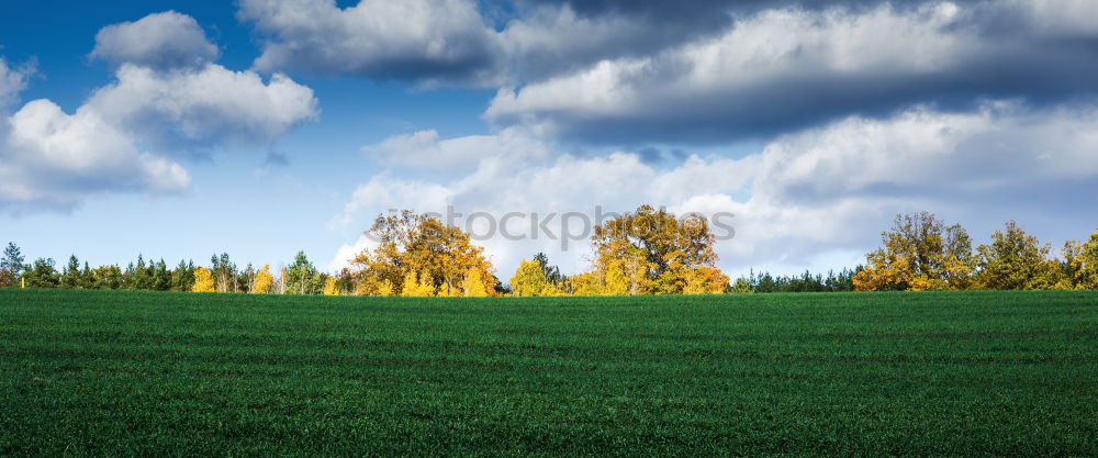 Similar – Rape field on Rügen Canola