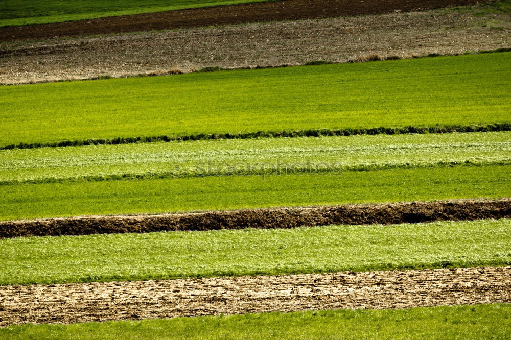 Similar – Image, Stock Photo Rural Highway Grain Farmer