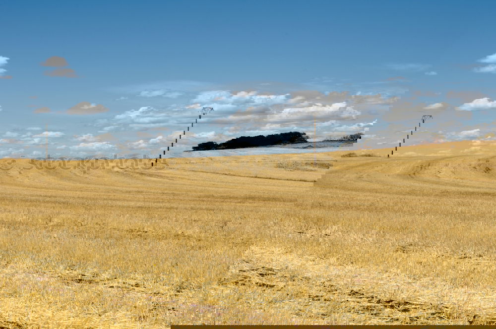 Similar – Image, Stock Photo harvest time