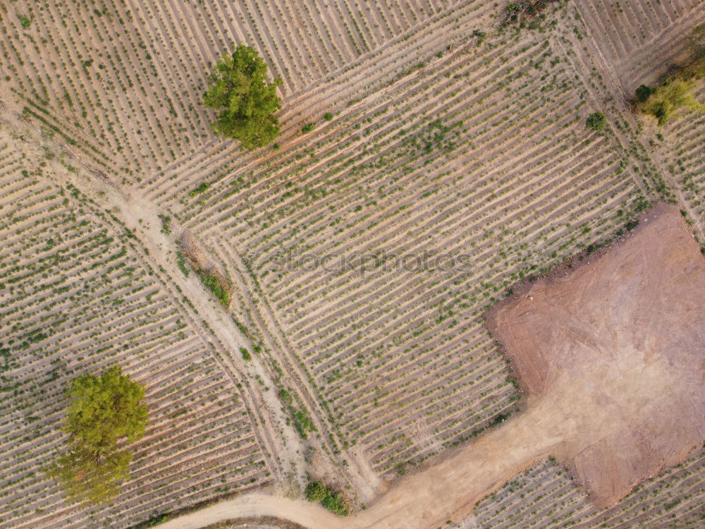 Similar – Image, Stock Photo #A# little agriculture