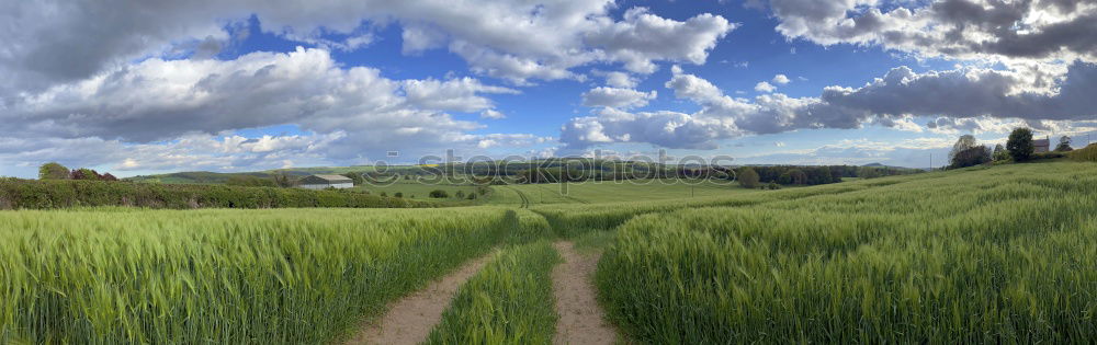 Similar – sunny day Field Tree