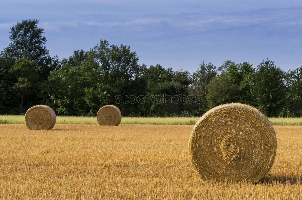 Similar – Image, Stock Photo auf´m Country