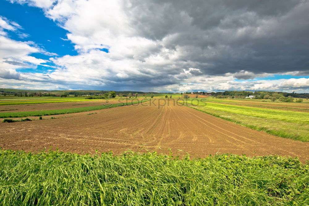 Similar – Image, Stock Photo harvest time Harmonious