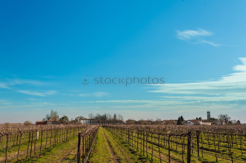 Similar – Image, Stock Photo View of Vienna Environment