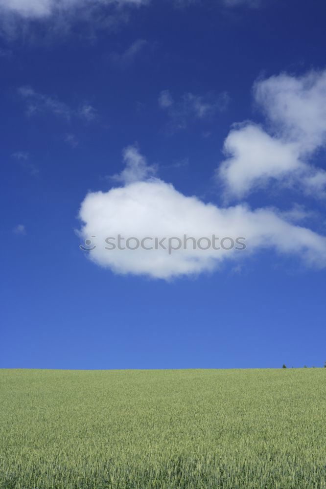 Image, Stock Photo leftover Environment