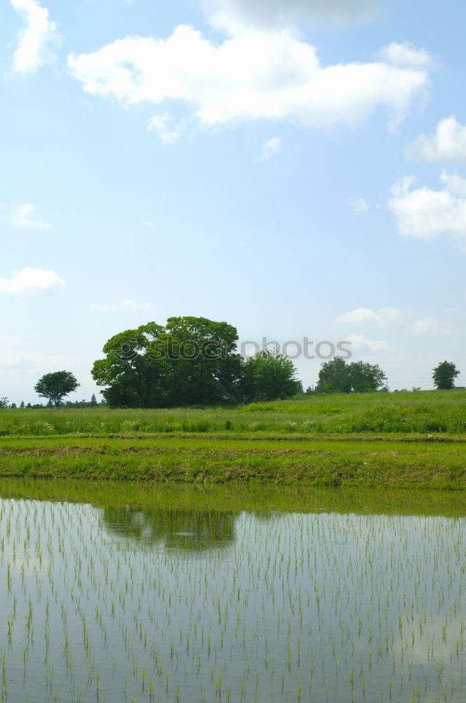 Similar – Image, Stock Photo ser un campo muy amplio