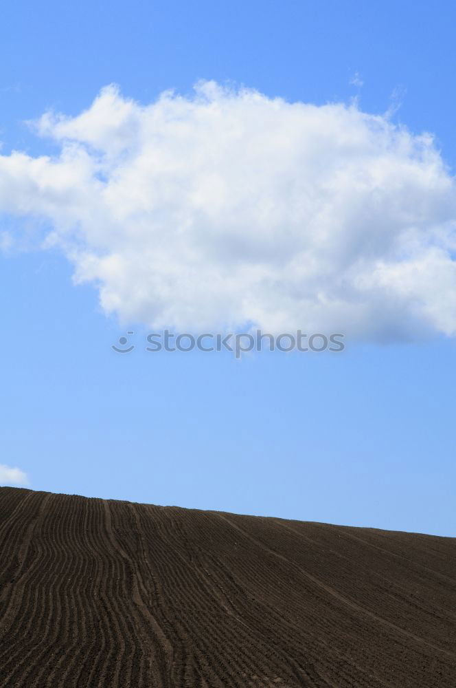 Similar – Himmel Baum Erde Wiese