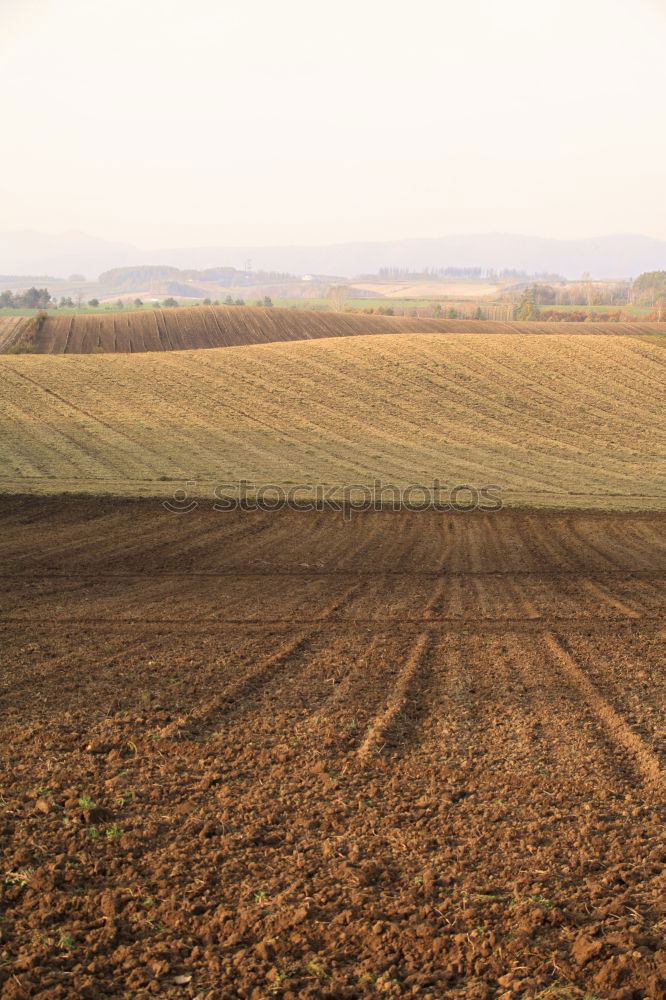 Similar – Foto Bild Kälte hängt über dem Land